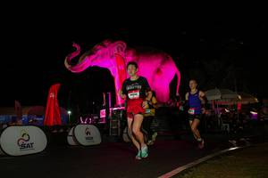 BIB: 
                            <button type="button" onclick="openModal(26543766)" class="btn btn-primary btn-sm float-right btn-popup" data-toggle="modal" data-target=".modal-high-quality">
                        <i class="fas fa-shopping-cart"></i> Add to Cart
                    </button>
                                            <button type="button" onclick="isThisMe(26543766, true)" class="btn btn-success btn-sm float-right btn-popup btn-isme hidden" data-toggle="tooltip" data-placement="bottom" title="นี่คือรูปของคุณใช่ไหม คลิกที่นี่เพื่อเอาเข้าอัลบั้ม">
                        <i class="fas fa-plus"></i> Add to album
                    </button>
                    <button type="button" onclick="isThisMe(26543766, false)" class="btn btn-warning btn-sm float-right btn-popup btn-isnotme hidden">
                        <i class="fas fa-ban"></i> Remove from album
                    </button>